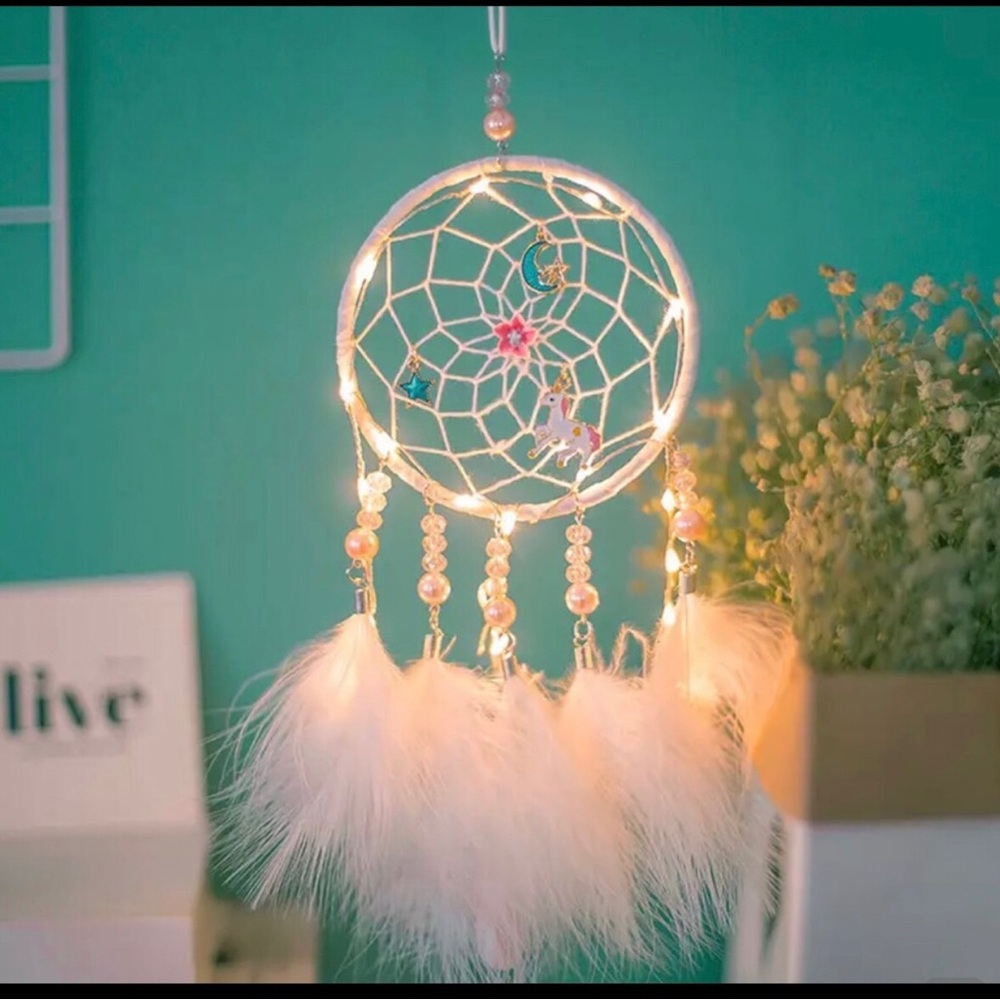 Feather Dreamcatcher with attached charms and lights